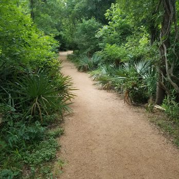 Palmetto State Park - Trails are easy - most are crushed granite. - Parks Near Me - Gonzales, Texas Palmetto State Park - Trails are easy - most are crushed granite. - Parks Near Me - Gonzales, Texas