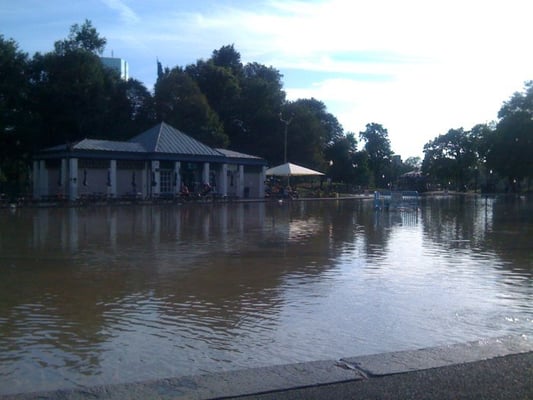 Boston Common Frog Pond by null