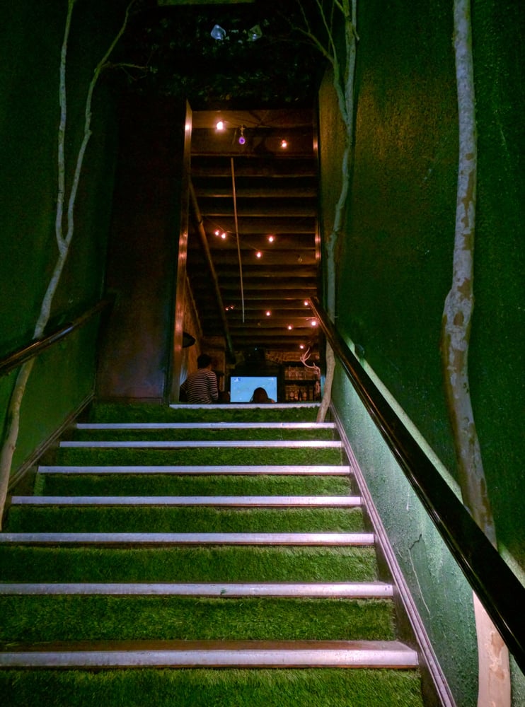 The Treehouse Image