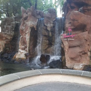 Flamingo Las Vegas - Hotels Near Me - Las Vegas, Nevada Flamingo Las Vegas - Hotels Near Me - Las Vegas, Nevada