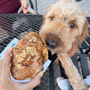 Darshan Bakery - Bakeries Near Me - Del Mar, California Darshan Bakery - Bakeries Near Me - Del Mar, California
