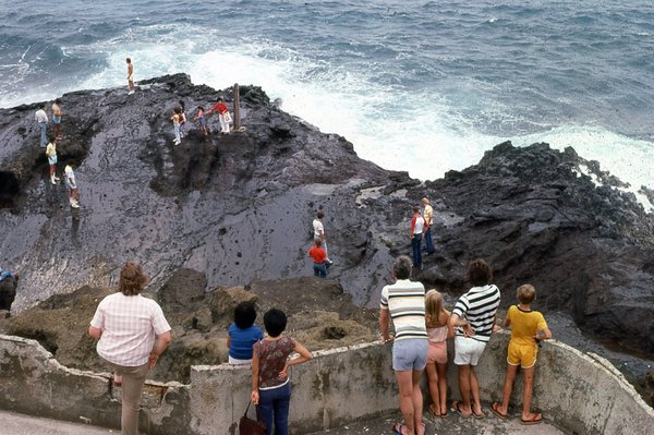Halona Blowhole Lookout by null