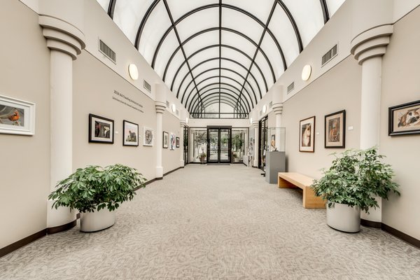 Irving Arts Center by null