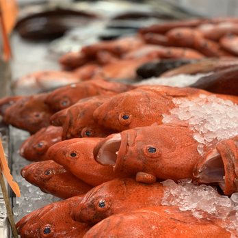 Brian's Seafood Market - a display of fresh fish - Seafood Markets Near Me - Honolulu, Hawaii