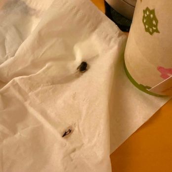 Charlie's Tea - Bubble Tea Near Me - Cupertino, California
