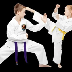 Z-Ultimate Self Defense Studios