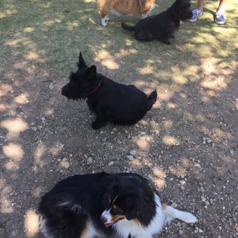 Wagging Tail Dog Park - Dog Parks Near Me - Dallas, Texas Wagging Tail Dog Park - Dog Parks Near Me - Dallas, Texas