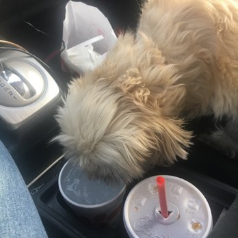 Chick-fil-A - Pippa says thank you - Fast Food Near Me - Cherry Hill, New Jersey