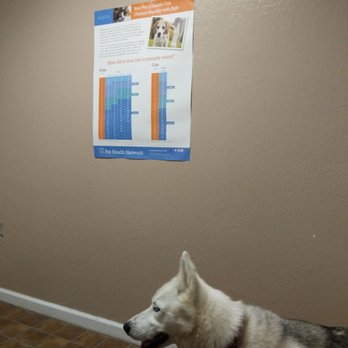 Cherry Chase Pet Hospital - Veterinarians Near Me - Sunnyvale, California