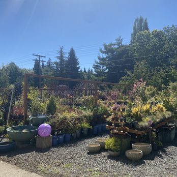 Cooleen Gardens - Outdoor plants. - Nurseries & Gardening Near Me - Bremerton, Washington Cooleen Gardens - Outdoor plants. - Nurseries & Gardening Near Me - Bremerton, Washington