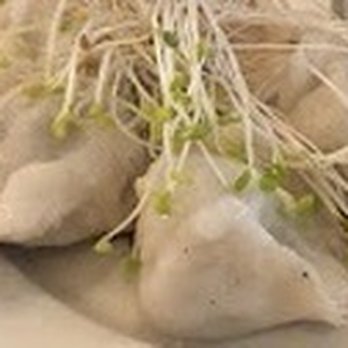 Peacefood - Upper West Side - Shanghai Style Dumplings - Vegan Near Me - New York, New York