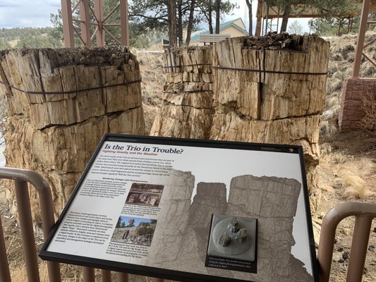 Florissant Fossil Beds National Monument by null