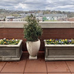 Creekside Garden Center & Landscaping - My terrace in Midtown. These stone containers are amazing and the spring pansies are incredible both in quality and color!