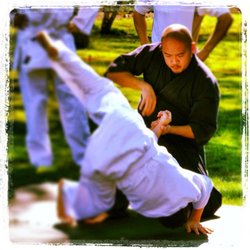 Saratoga Budo Japanese Martial Arts - Traditional Japanese Jujutsu