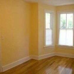 Gallardo's Construction and painting