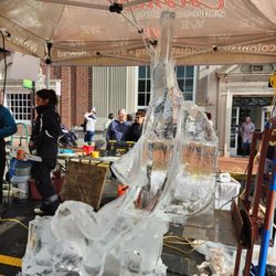 Fire & Ice Festival