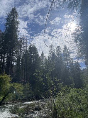 Wawona Campground by null