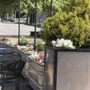 Photo of Bokeh Lounge