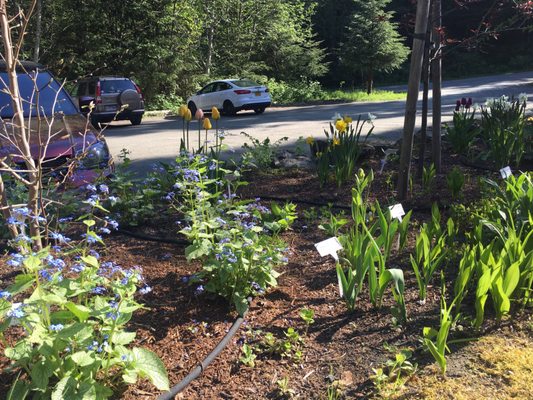 National Shrine of St. Thérèse by null