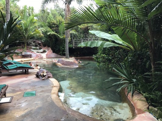 The Lost Spring by null