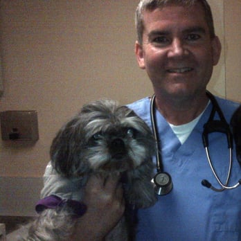 VCA CHATOAK ANIMAL HOSPITAL Updated May 2025 104 Photos 393 Reviews 17659 Chatsworth St Granada Hills California Veterinarians Phone Number Yelp