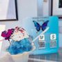 Photo of Sweet Envy Luxury Shaved Ice
