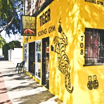 Tiger Boxing Gym - Gyms Near Me - Los Angeles, California
