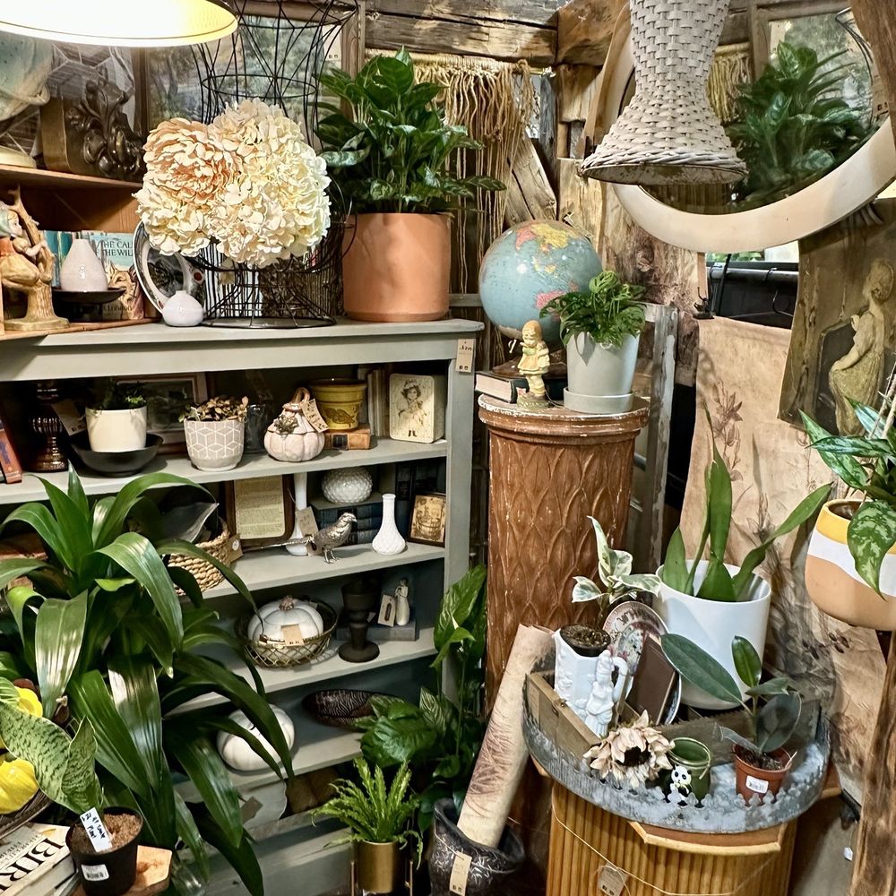 Furbish - More fun around every corner - Antiques Near Me - Salem, Oregon Furbish - More fun around every corner - Antiques Near Me - Salem, Oregon