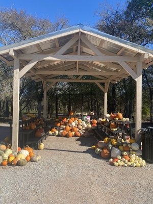 Clark Gardens by null