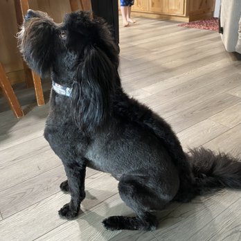 Stinky Dog Grooming - Pet Groomers Near Me - Roseburg, Oregon Stinky Dog Grooming - Pet Groomers Near Me - Roseburg, Oregon