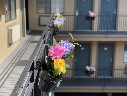 Photo of Westwind Lodge - Oakland, CA, US. Spring time at the Westwind Lodge.