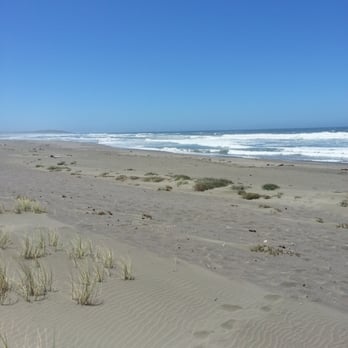 Sonoma Coast State Beach - Sitting up on the dunes. There are actually some semi-private spots up here. - Beaches Near Me - Bodega Bay, California Sonoma Coast State Beach - Sitting up on the dunes. There are actually some semi-private spots up here. - Beaches Near Me - Bodega Bay, California