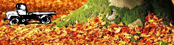 Green Earth Lawn and Landscaping - tree service in Springdale, AR