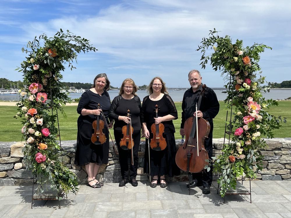 Social spots from Artful Noise String Quartet