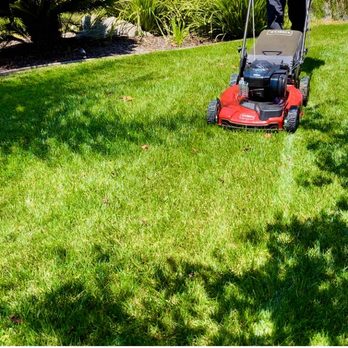 Eliseo Landscape Maintenance - Maintenance - Irrigation Near Me Eliseo Landscape Maintenance - Maintenance - Irrigation Near Me