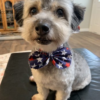 Ann's Pet Grooming - Pet Groomers Near Me - Brea, California Ann's Pet Grooming - Pet Groomers Near Me - Brea, California