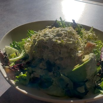 City Bakery - Chicken avocado salad - Bakeries Near Me - Asheville, North Carolina City Bakery - Chicken avocado salad - Bakeries Near Me - Asheville, North Carolina