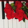 Photo of Pianolific