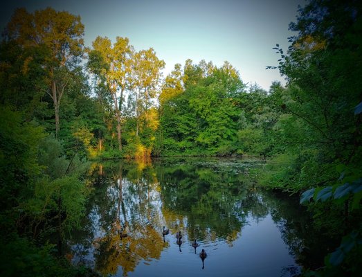 Ripples Of The Lakes Restaurant And Bar by null
