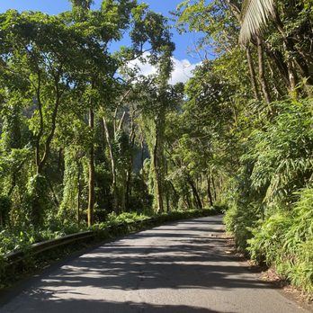 Pipiwai Trail - The road - Hiking Near Me - Hana,, Hawaii