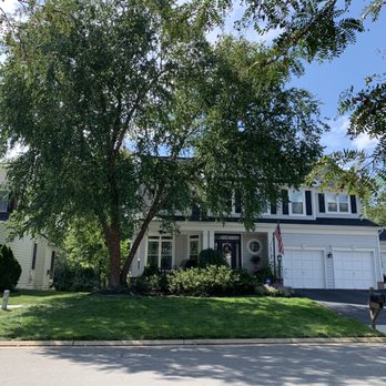 The Davey Tree Expert Company - After - Tree Services Near Me - Chantilly, Virginia The Davey Tree Expert Company - After - Tree Services Near Me - Chantilly, Virginia
