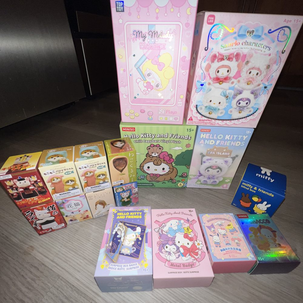 Blind Box Haul