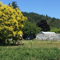 Norm Lehne Garden and Orchards - Original green house from the late 1940's or 1950's