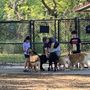 Photo of West Orange Dog Park