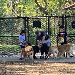 West Orange Dog Park - Always a big reception coming into the park