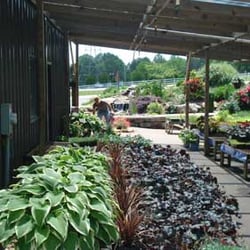 Easley Nursery - Nursery Photo