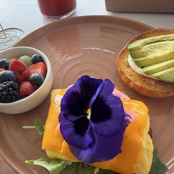 Sugar Baby - Coffee & Tea Near Me - Seminole, Florida Sugar Baby - Coffee & Tea Near Me - Seminole, Florida