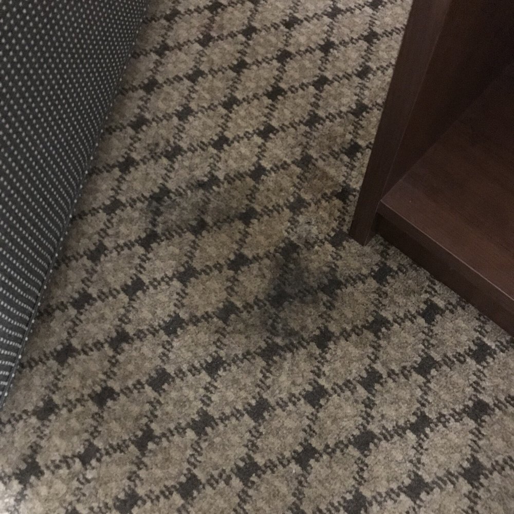 Quality Inn & Suites Morrow Atlanta South - Stains everywhere on floor - Hotels Near Me - Morrow, Georgia Quality Inn & Suites Morrow Atlanta South - Stains everywhere on floor - Hotels Near Me - Morrow, Georgia