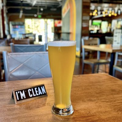 Karl Strauss Brewing Company by null