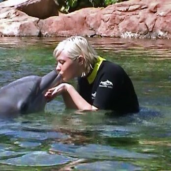 Discovery Cove - Amusement Parks Near Me - Orlando, Florida